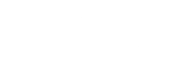 Vizon